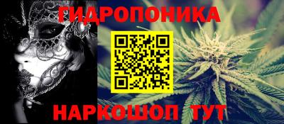 дурь Гусиноозёрск