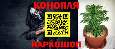 ALPHA PVP Гатчина