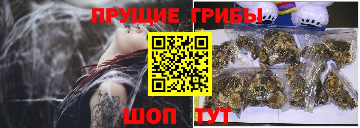 Медногорск  Псилоцибиновые грибы мицелий  Вход с VPN 