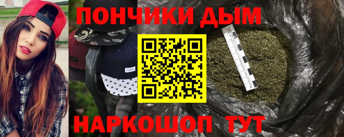 Медногорск  Конопля ГИДРОПОН  Вход с VPN  Марихуана план  Марихуана сатива 